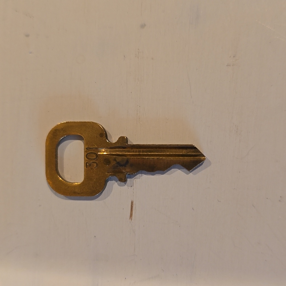 Louis Vuitton Brass Padlock with Key #301 - Picture 2 of 7